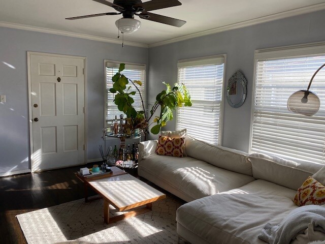 Building Photo - 1008 6th St