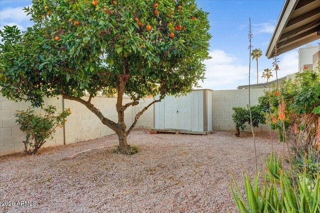 Building Photo - 8655 E Vía Del Palacio