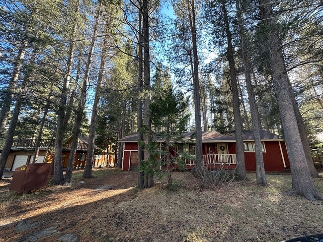 Building Photo - Hidden Gem in Peaceful Forest Setting- Pet Friendly!