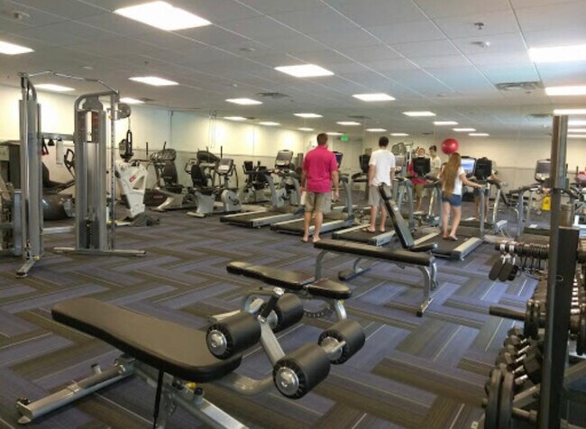 Building Photo - 5438 Verona Dr