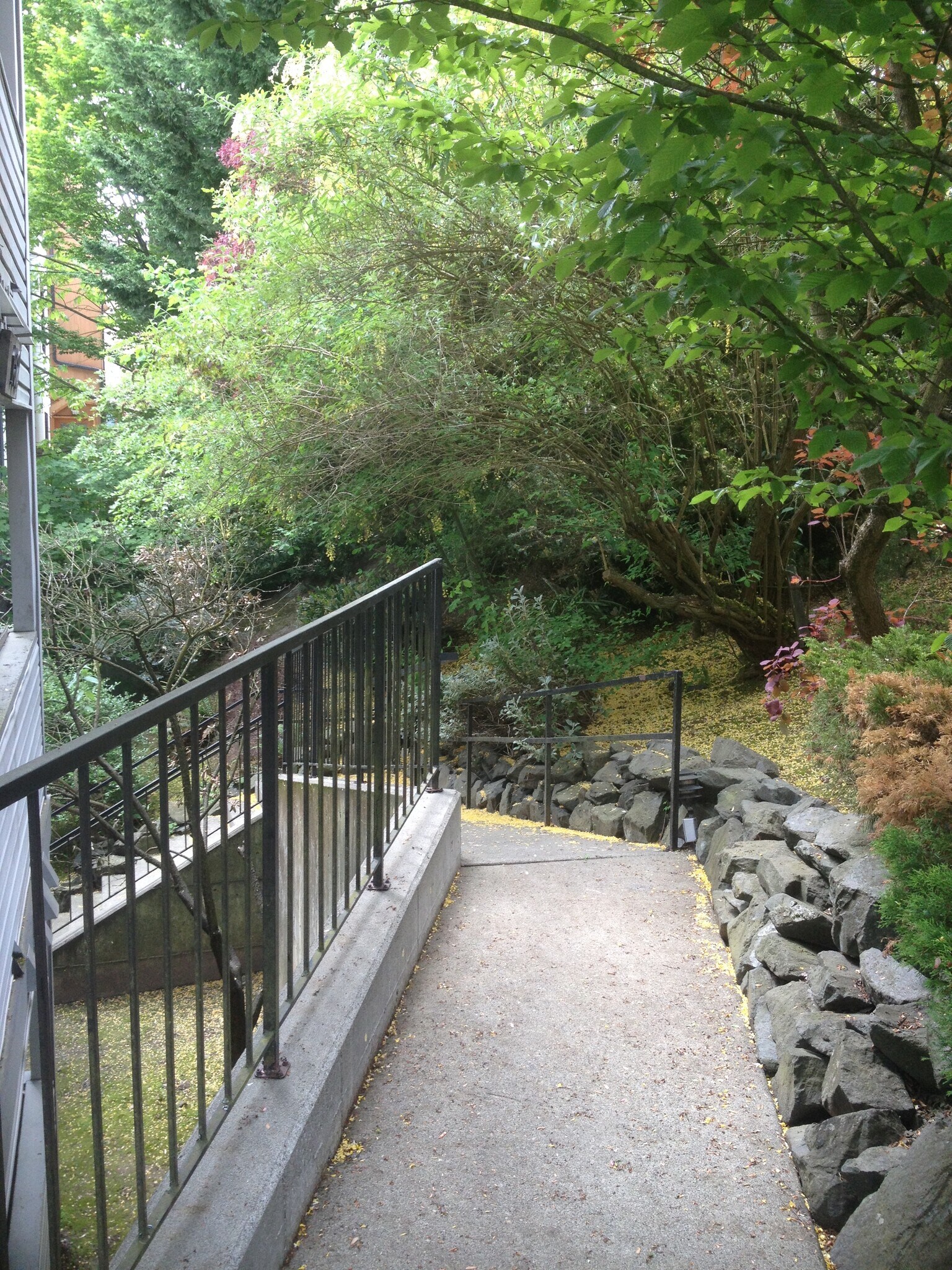 Ramp to Entry Courtyard - 132 24th Ave E