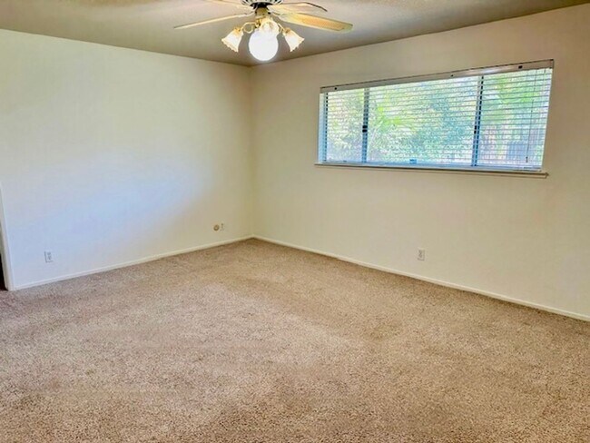 Building Photo - $3,300 Fowler & Shepherd, Solar & Swimming...