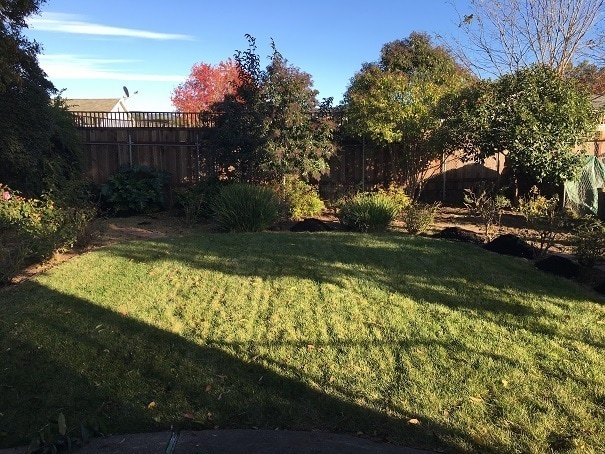 Building Photo - Fully Renovated 3 Bedroom Napa Home with Private Yard