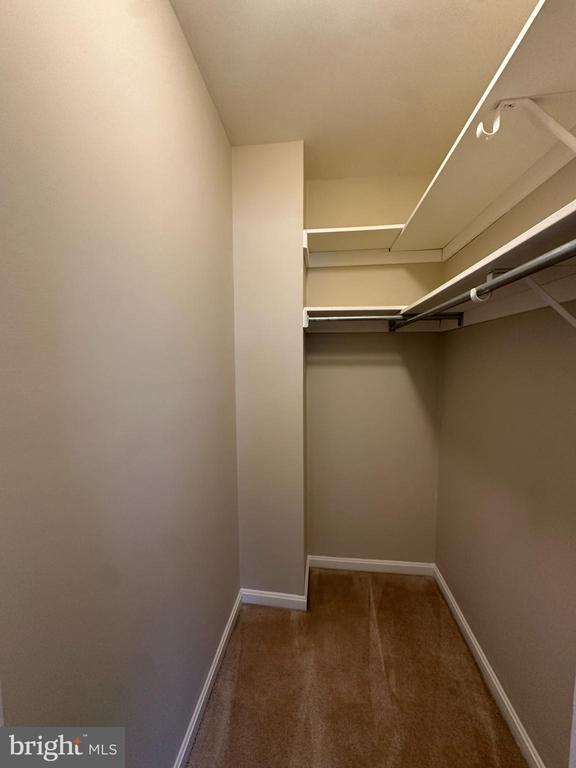 Building Photo - 109 Cardinal Ln