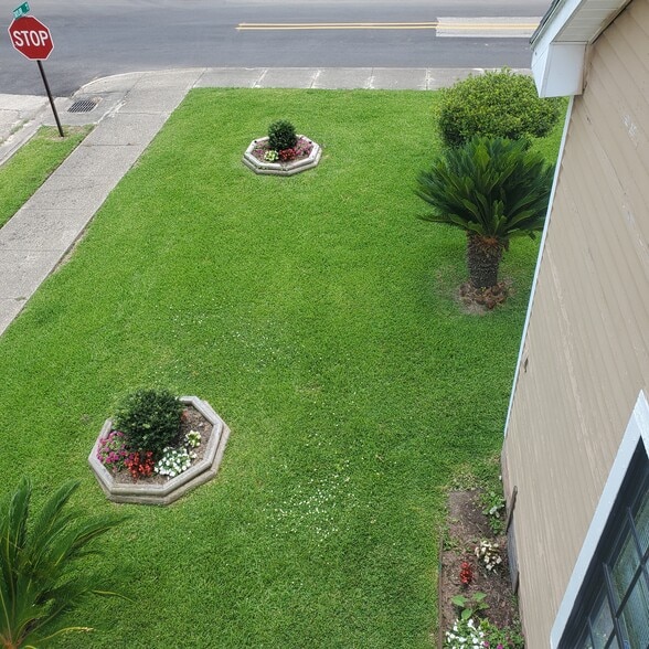 Building Photo - 314 Julia St