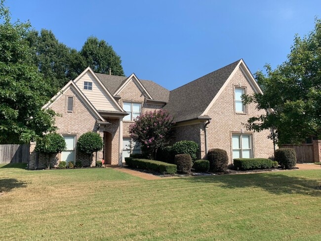 Building Photo - Available Now!