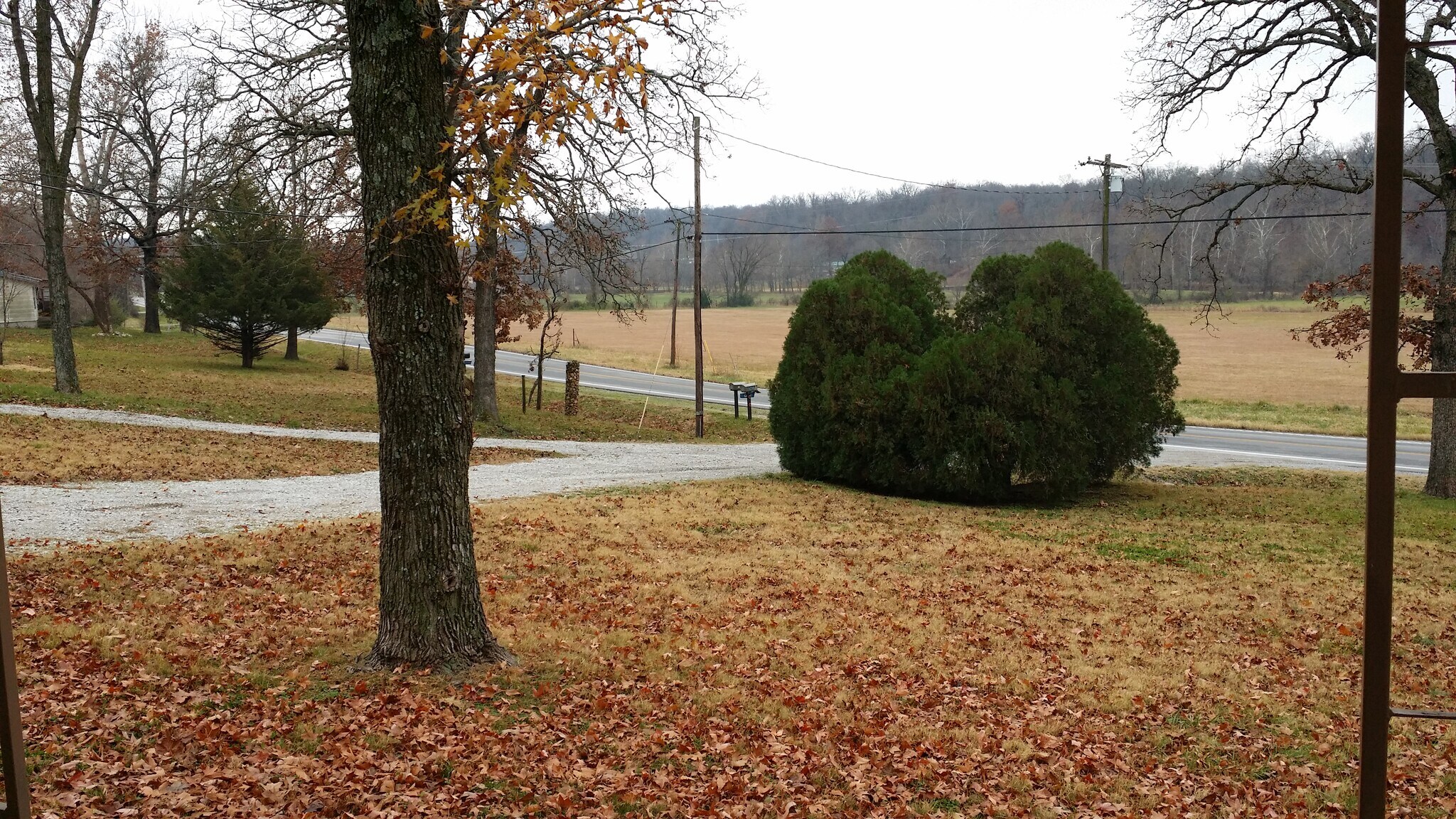 View to the South from front porch. - 5235 Highway NN