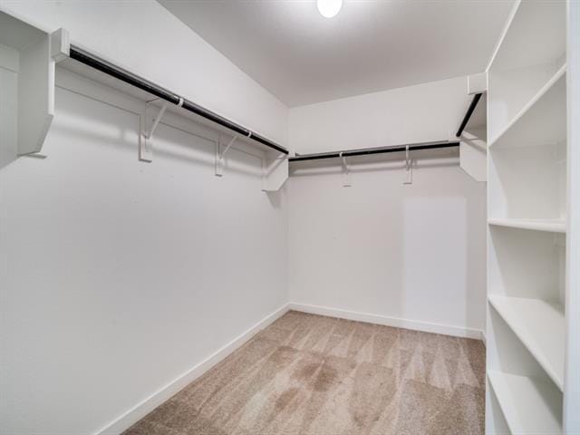 Building Photo - 2613 Moser Ln