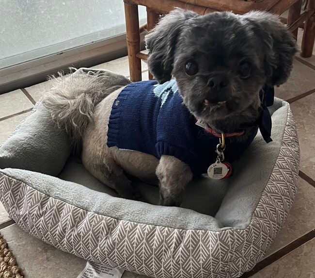 Building Photo - 1655 S Highland Ave