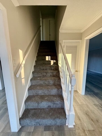 Building Photo - 346 N Birchwood Dr