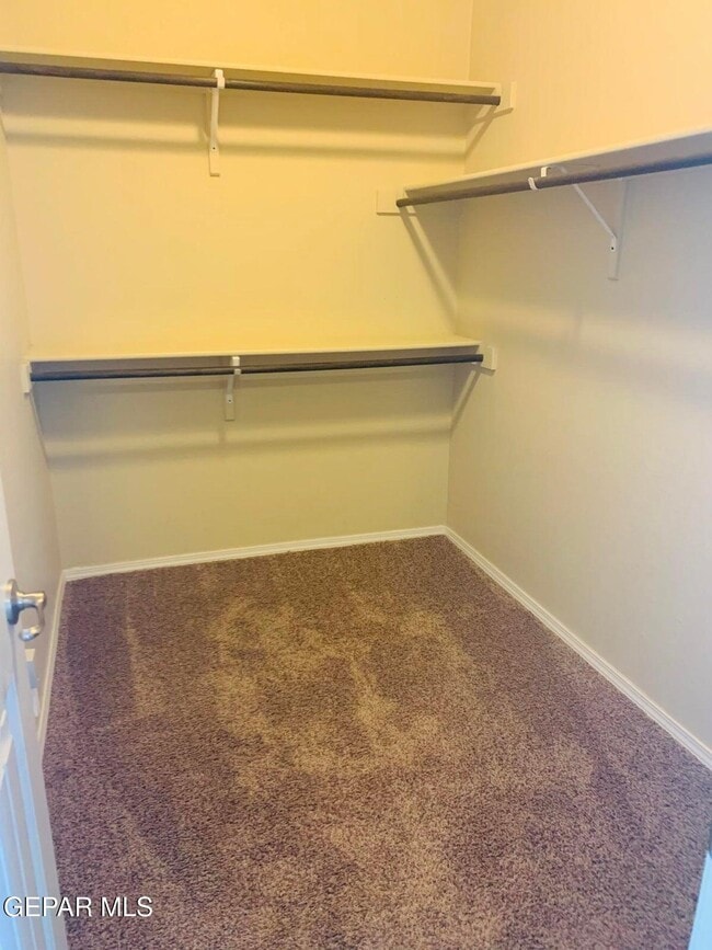 Building Photo - 3837 Loma Cristobal