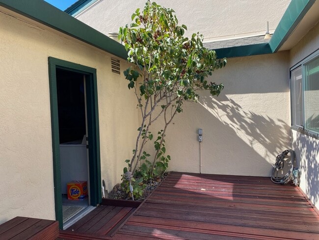 Building Photo - 201 Lagunaria Ln