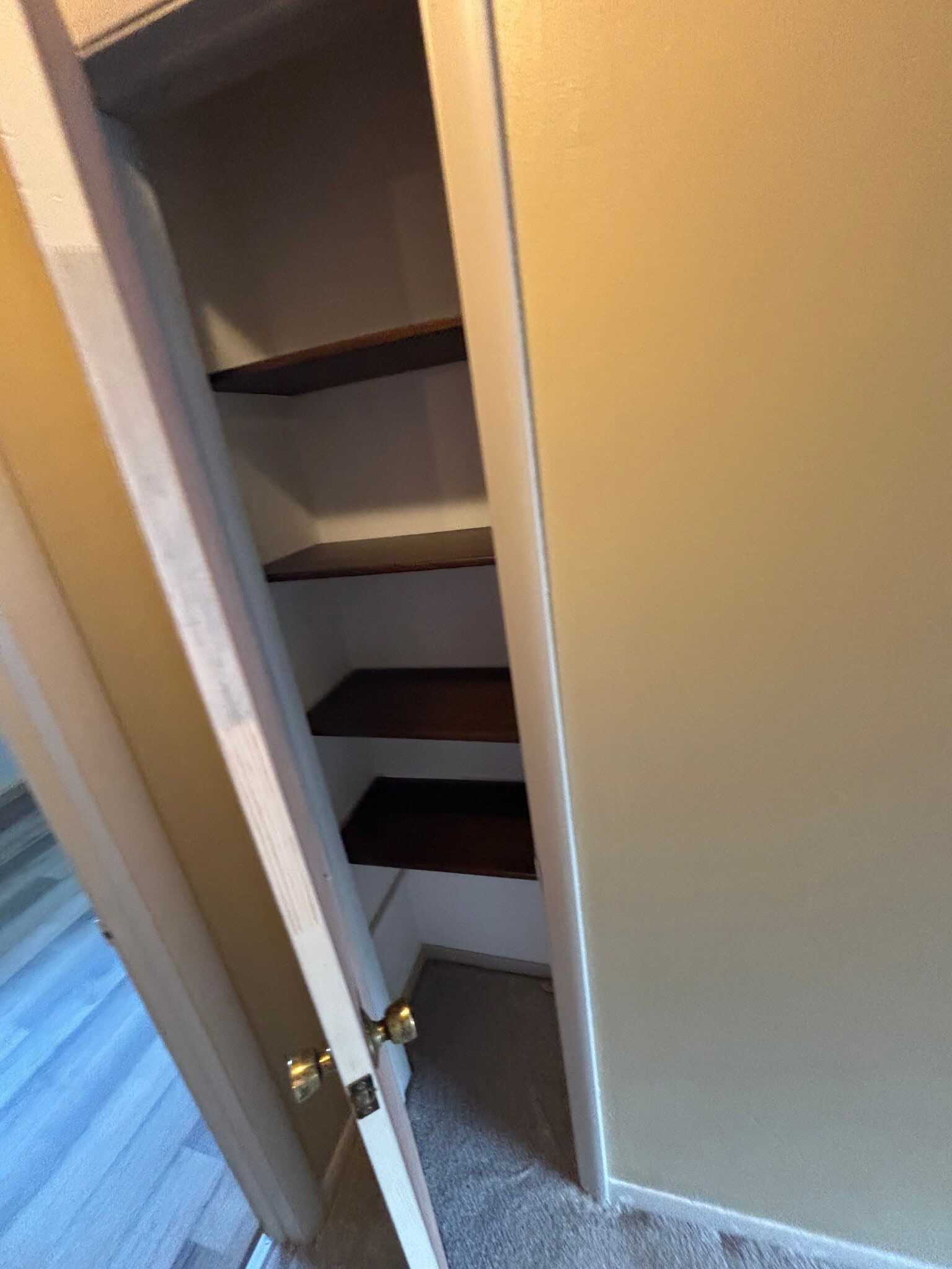 Building Photo - 224 Montana Ave