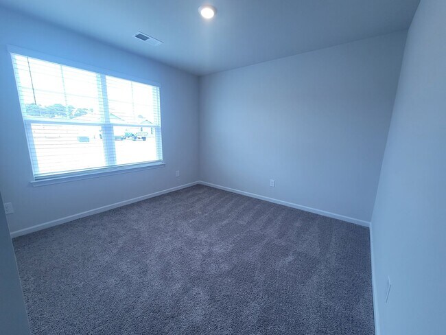 Building Photo - Welcome to our brand new 4-bedroom, 2-bathroom home located in the charming community of Castle H...