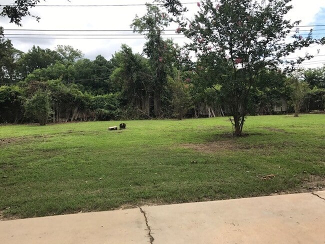 Building Photo - Beautiful 3 bedroom home! 1/2 off 1st month rent!!!