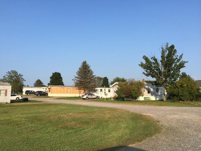 Building Photo - Mapledale