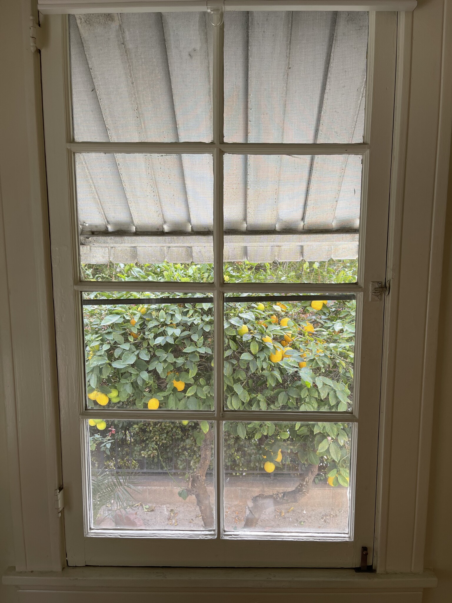 Bedrm No 1 window - 324 S Coronado St