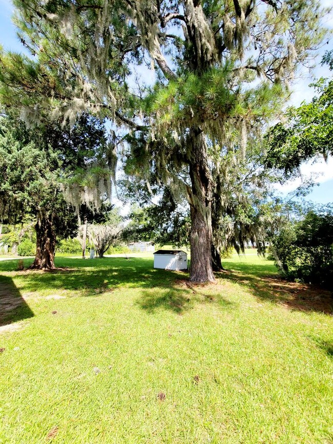 Building Photo - Cozy 2 bedroom home in Conway