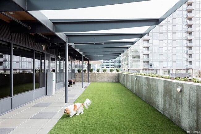 Building Photo - Spacious NW-Facing 1 Bed + Den, 1 Bath Luxury High-Rise Condo in Seattle's Denny Triangle – Nexus