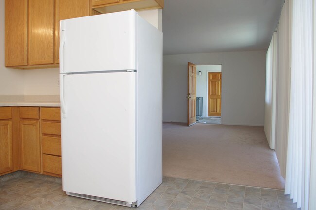 Large Floor Plans - Alterra