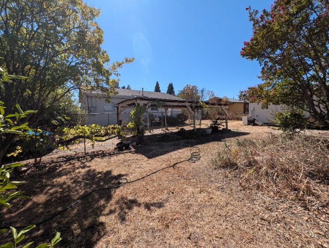 Building Photo - 2431 Las Plumas Ave