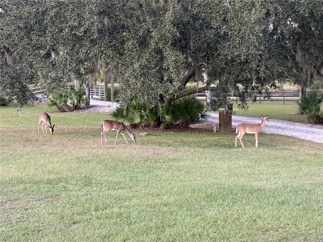 Building Photo - 1950 Bern Creek Loop