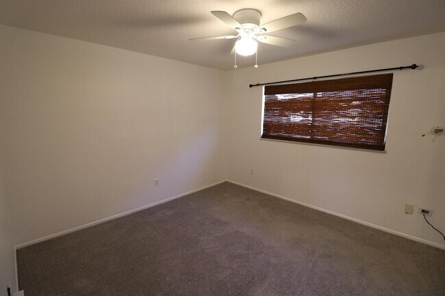 Building Photo - 206 Phoenetia Dr
