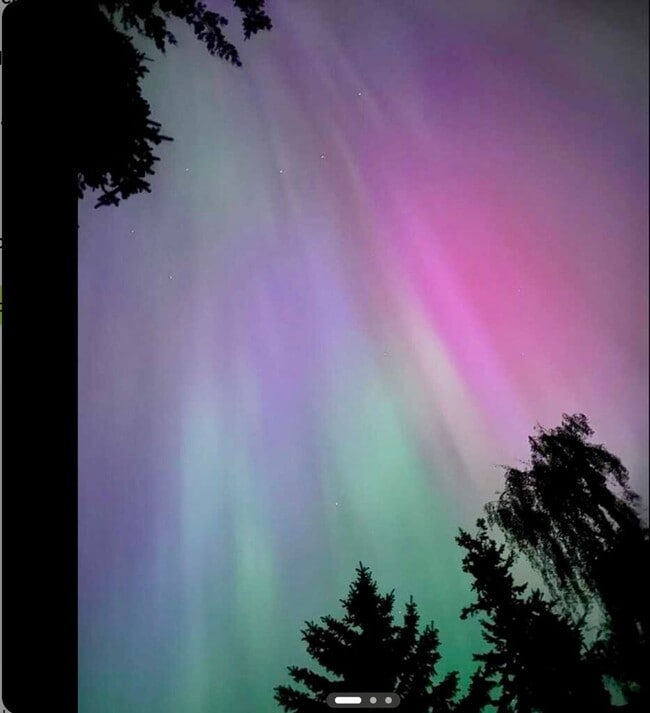 Building Photo - 392 Buck Loop Rd