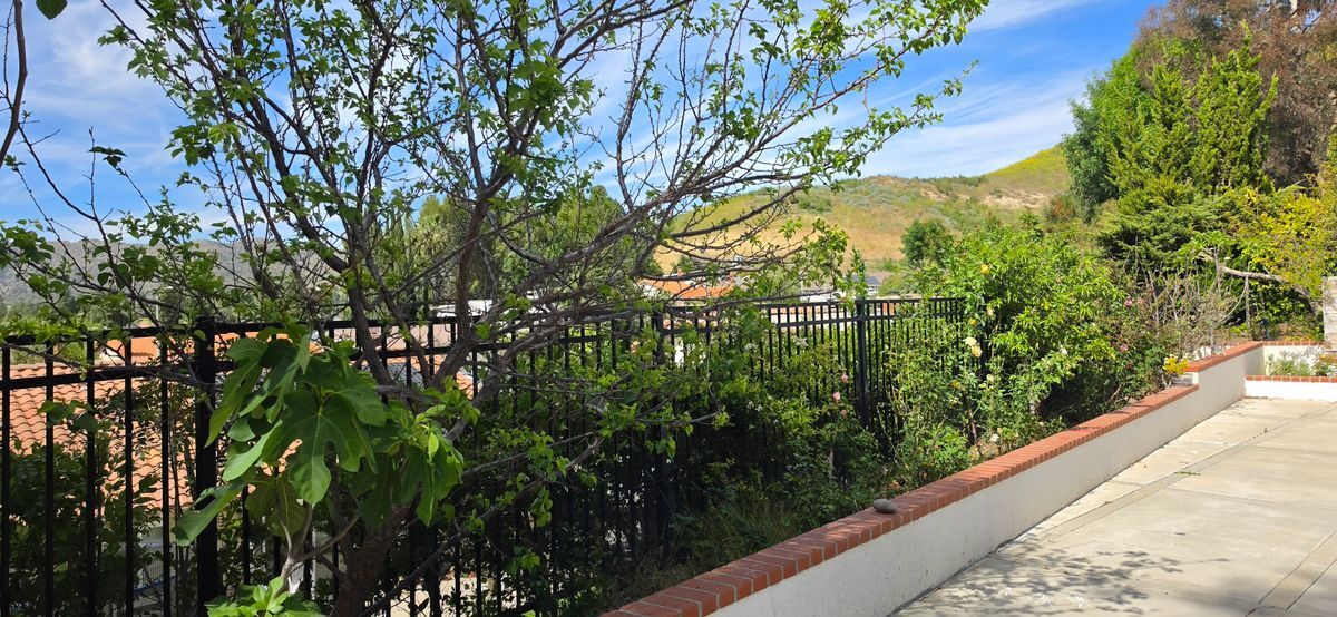 Building Photo - 28915 Hollow Brook Ave