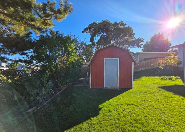 Backyard storage shed/dog run - 1409 2nd West Hill Dr