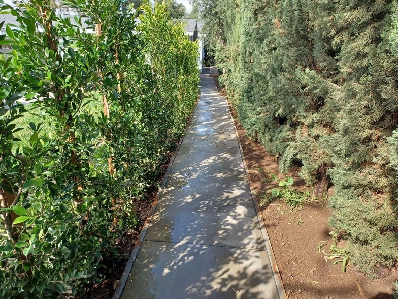 Building Photo - 319 E Ramona St