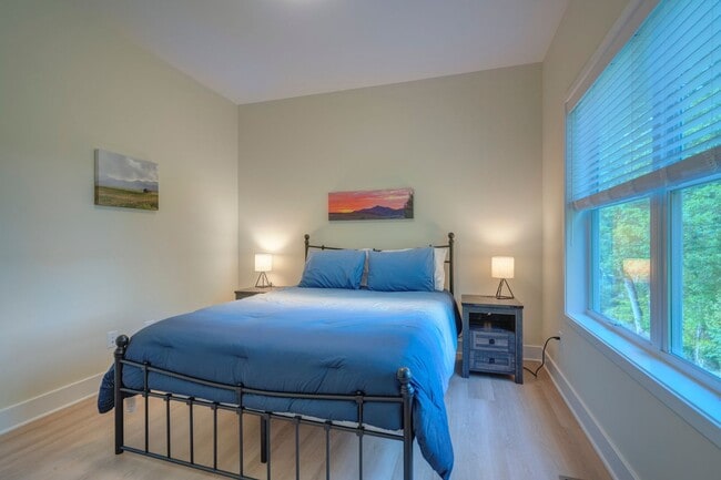 Building Photo - Brand New Townhouse Community in Blacksburg!