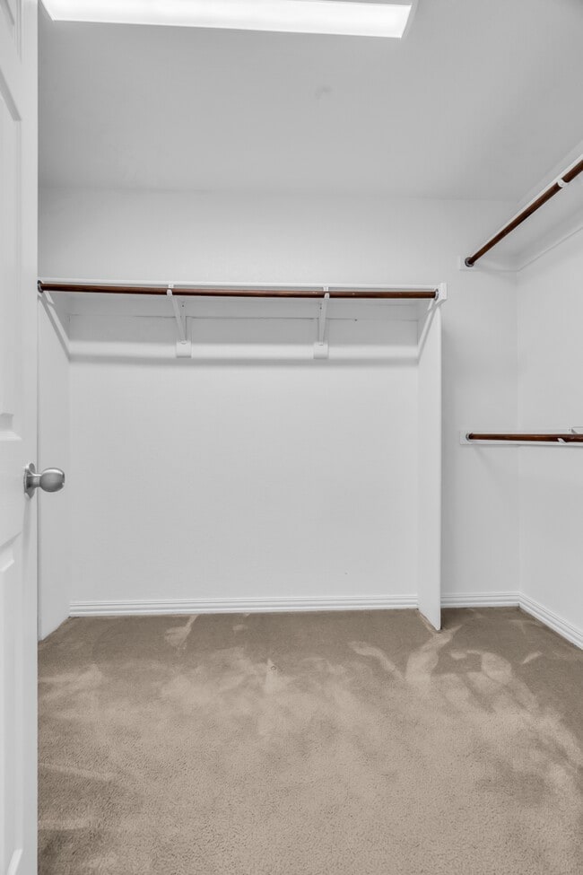 Building Photo - 513 Renee Dr