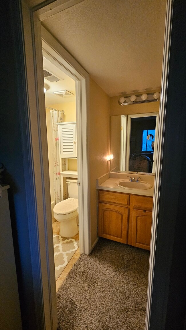 Bathroom - 491 S Kalispell Way