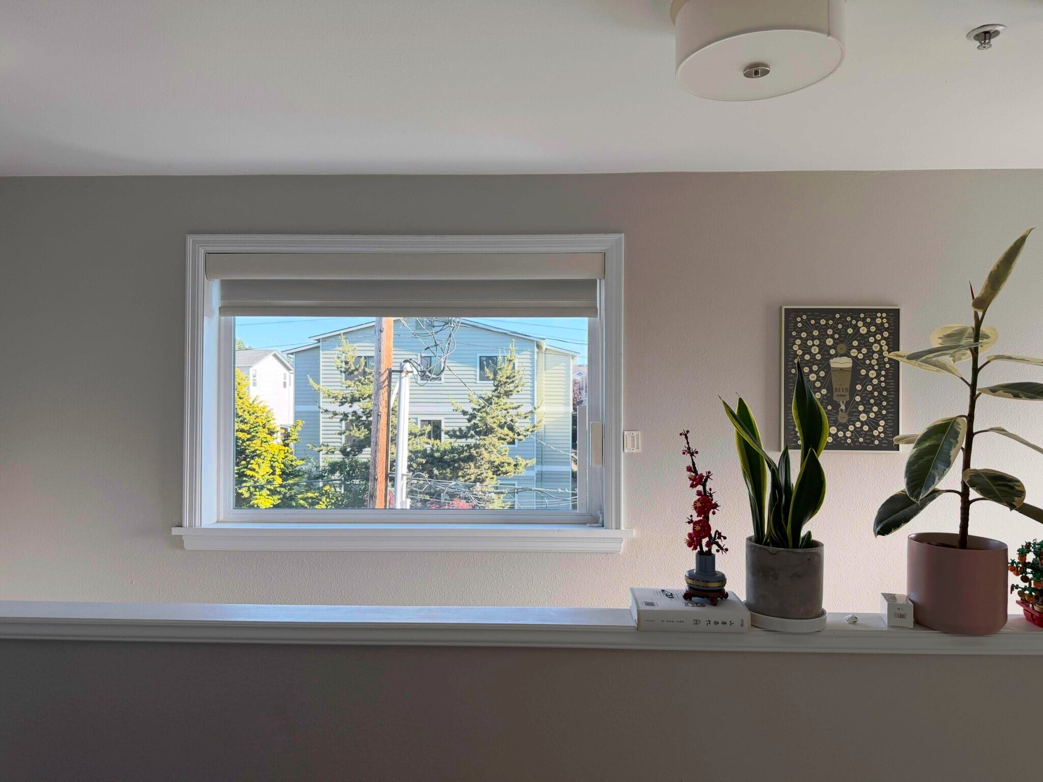 3rd floor big south facing window for plants and drying clothes - 728 N 94th St
