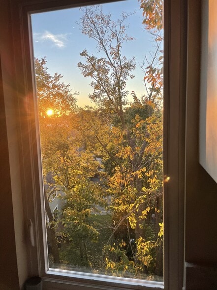 Kitchen Views at Sunset - 16 Tecumseh Street
