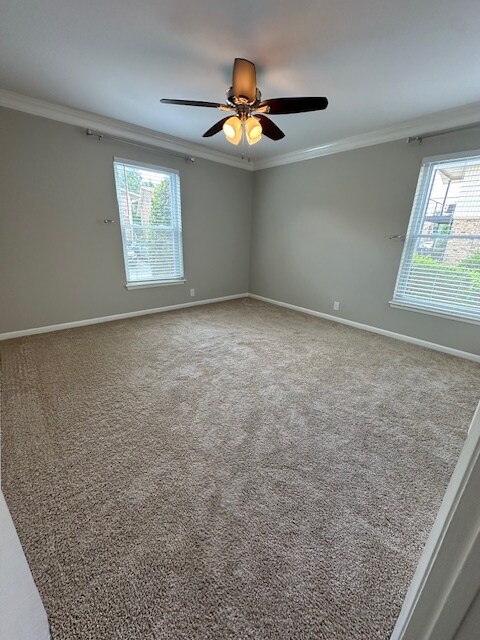 Bedroom/New Carpet - 2116 Hobbs Rd