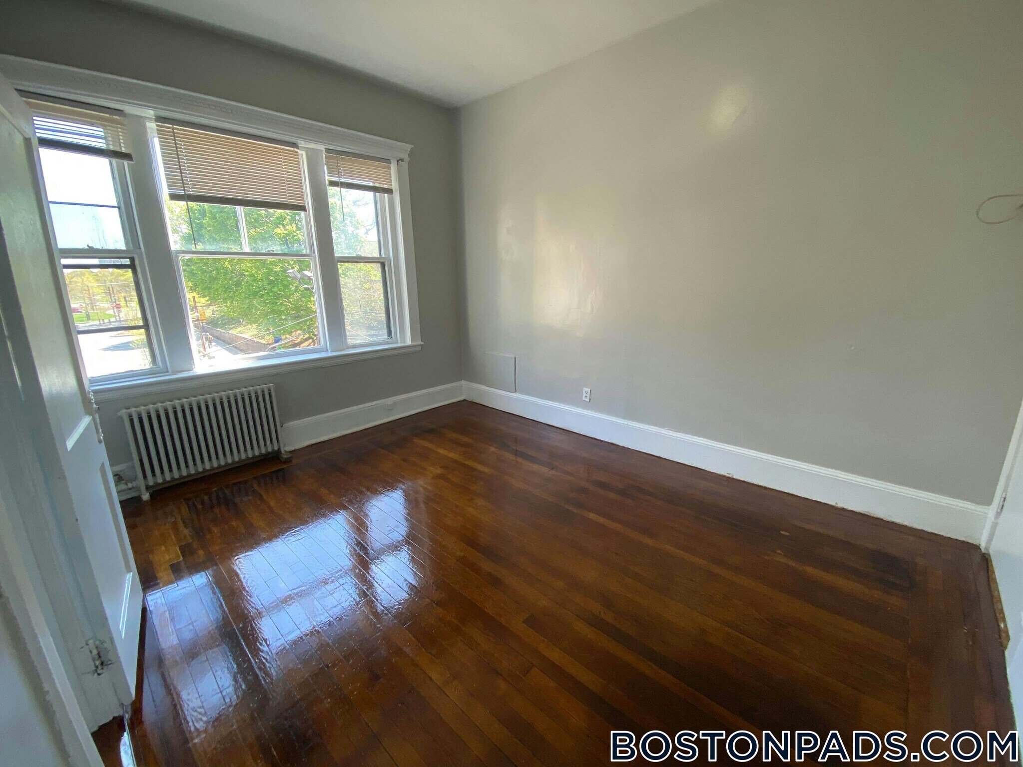 Building Photo - 447 Park Dr