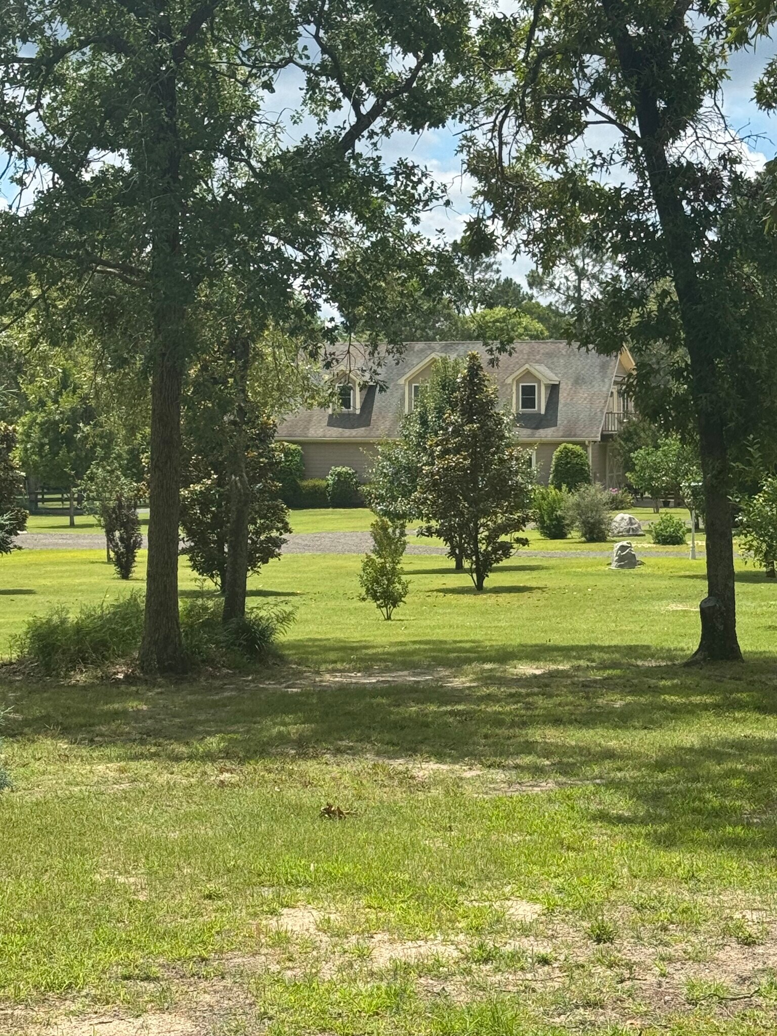 Road iew - 970 Shell Bluff Dr