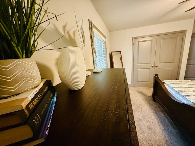 Building Photo - 3221 York Dr