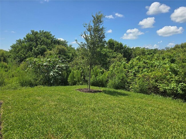 Building Photo - 8469 Shr Lk Dr