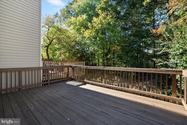 Building Photo - 8316 Linden Oaks Ct