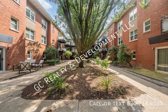 Primary Photo - 6429 N Damen Ave