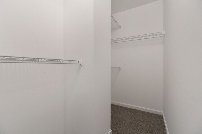 Building Photo - 1043 Downing Ct