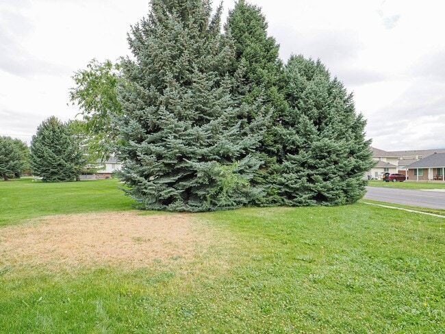 Building Photo - Charming 3-Bed, 2-Bath Home in Prime Ameri...