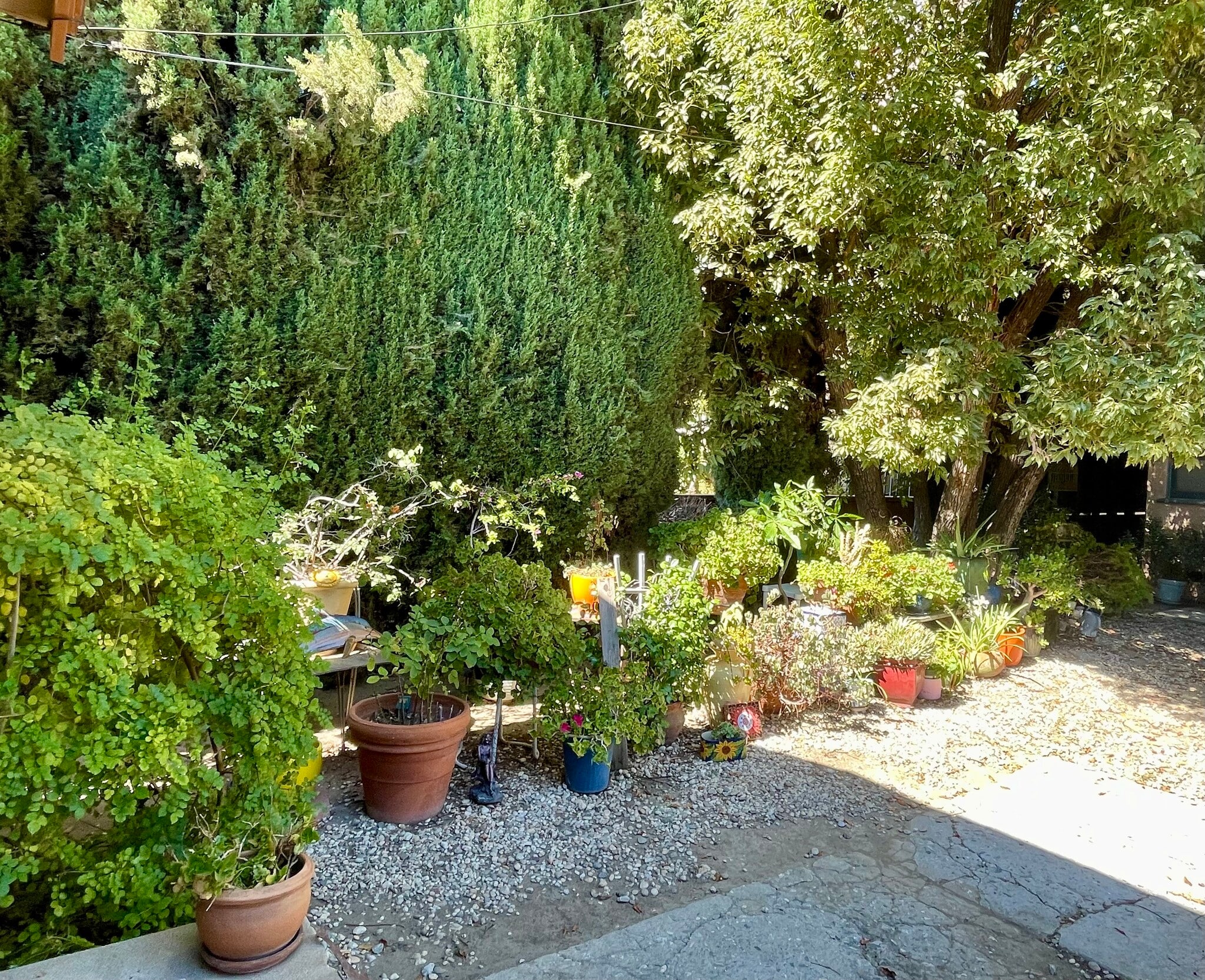 Beautiful garden - 614 N Atlantic Blvd