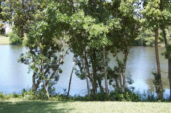 Building Photo - 1526 Winter Green Blvd