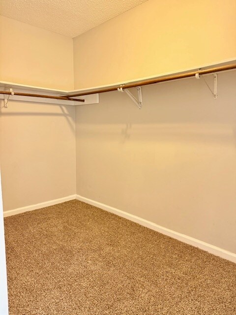 Building Photo - 1219 Brittany Dr