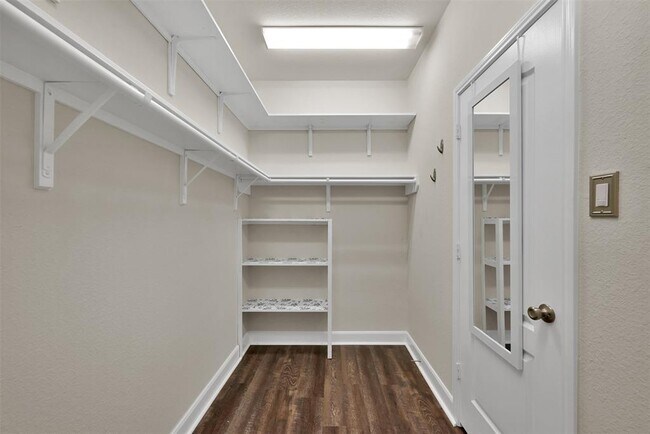 Building Photo - 3929 Eagle Nest Lake Ln