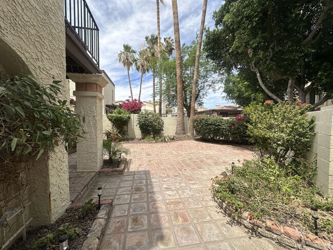 Building Photo - Point South Mountain; Located in the highly desirable Point South Mountain Community, resort styl...